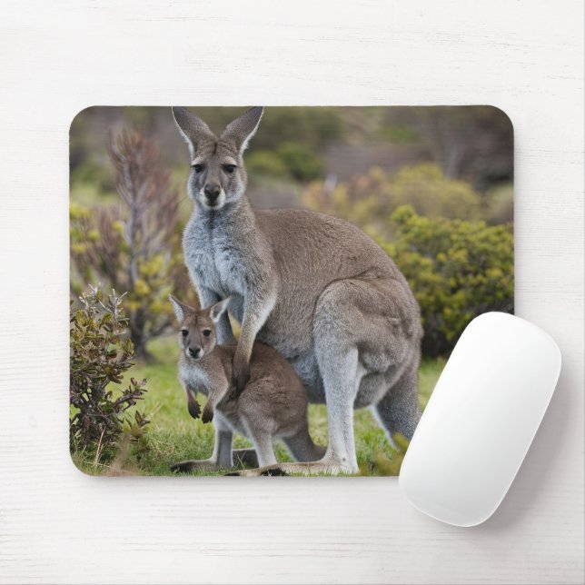 Mousepad Kangaroo e Joey (Com mouse)