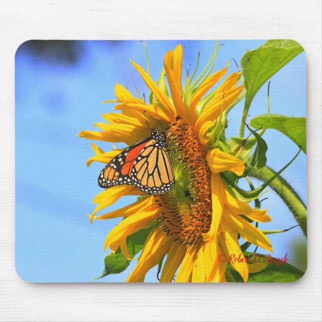 Mousepad Kansas Sunflower com Pad de Rato de Borboleta Mona (Frente)