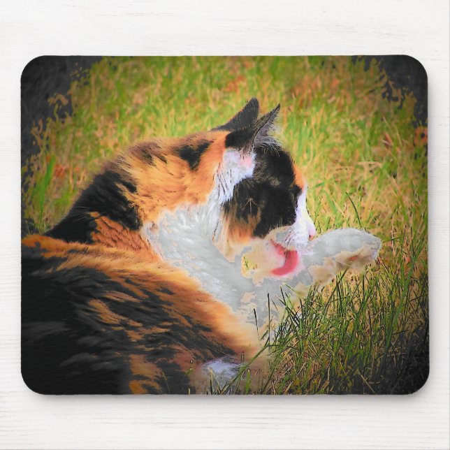 Mousepad Keeping clean (Frente)