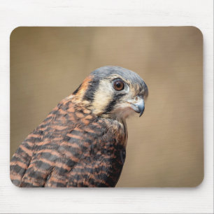 Mousepad Kestrel Americano