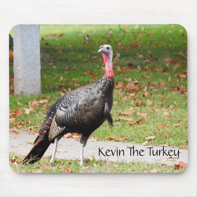 Mousepad Kevin The Turkey - Old Wethersfield, CT (Frente)