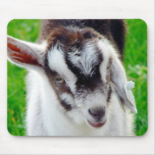 Mousepad Kid de Cabra bonito