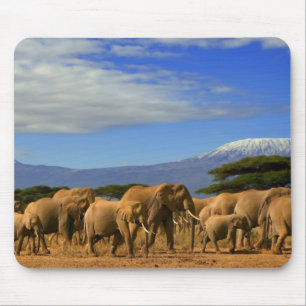 Mousepad Kilimanjaro e elefantes