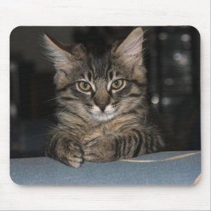 Mousepad Kimber Gatinho "Sério?" Mouspad