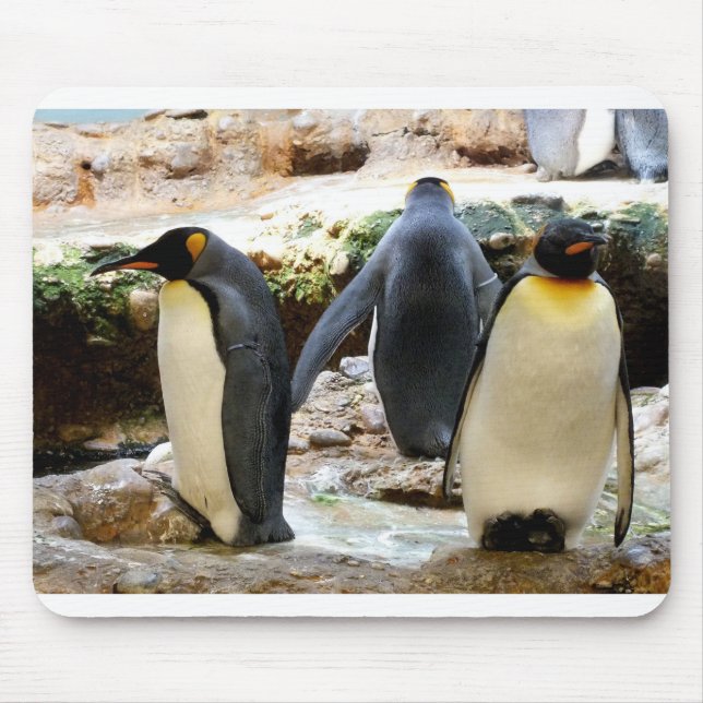 Mousepad King Penguins (Frente)