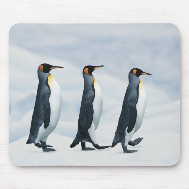 Mousepad King Penguins caminhando no arquivo de solteiro (Frente)