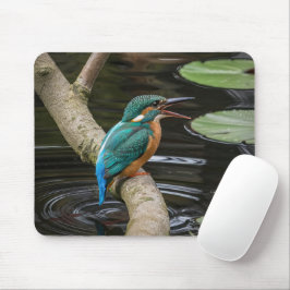 Mousepad Kingfisher Bird