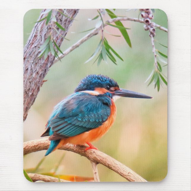 Mousepad Kingfisher Perched on Branch (Frente)