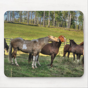 Mousepad Kissing Pinto Stallion & Sorrel Mare Equine Photo