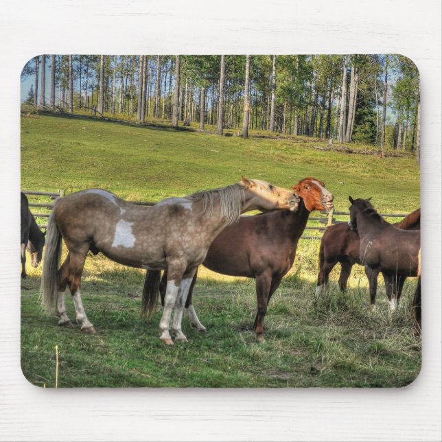 Mousepad Kissing Pinto Stallion & Sorrel Mare Equine Photo (Frente)