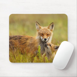 Mousepad Kit de Raposa Vermelha Olhando para a Mãe