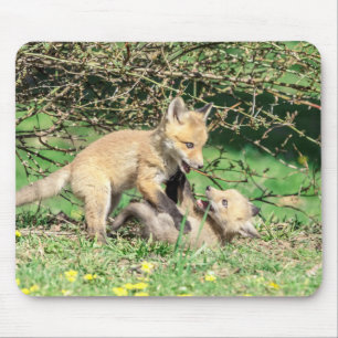 Mousepad Kits de Raposa Vermelha Reproduzindo