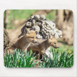 Mousepad Kits Fox no Vale do Hudson