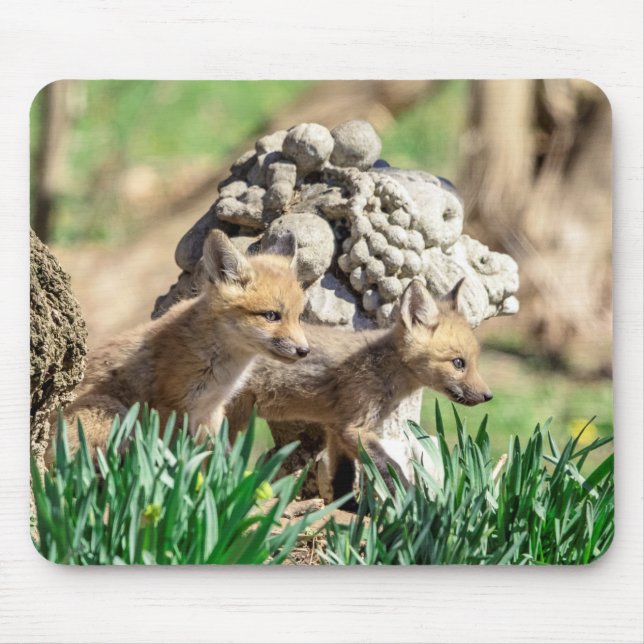 Mousepad Kits Fox no Vale do Hudson (Frente)