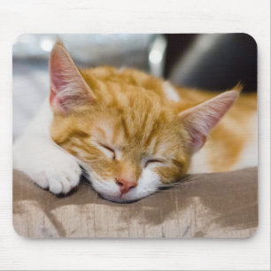 Mousepad Kitten