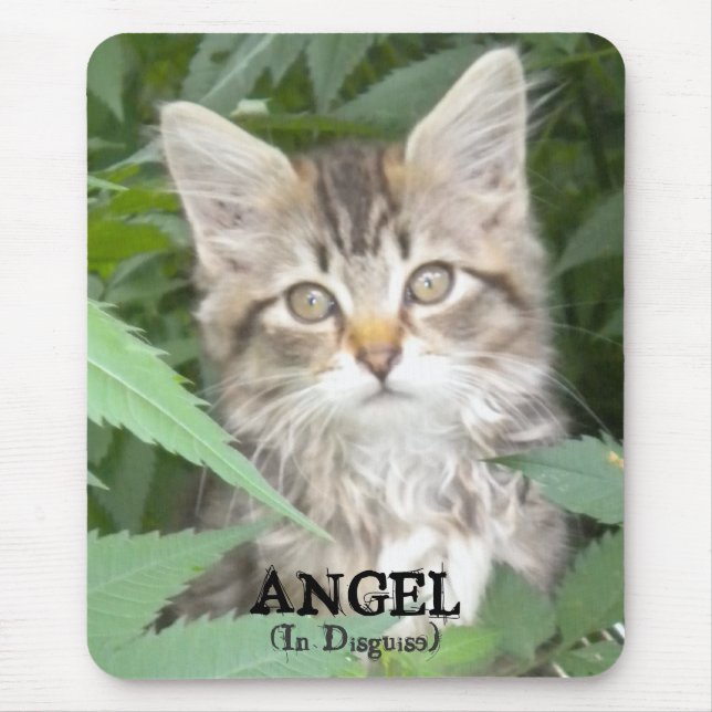 Mousepad KITTEN = ANGEL, (em disfarce) (Frente)