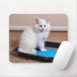 Mousepad Kitten Branco Na Bandeja De Pintura