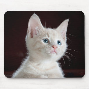 Mousepad Kitten Cutie
