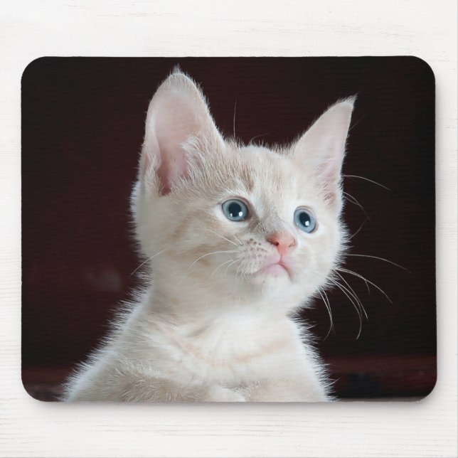 Mousepad Kitten Cutie (Frente)