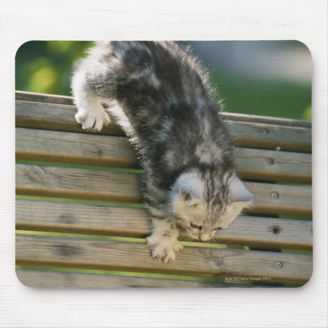Mousepad Kitten descendo no banco (Frente)