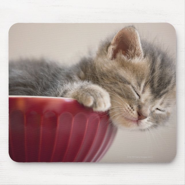 Mousepad Kitten Dormindo em Bowl (Frente)