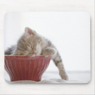 Mousepad Kitten Dormindo em Bowl