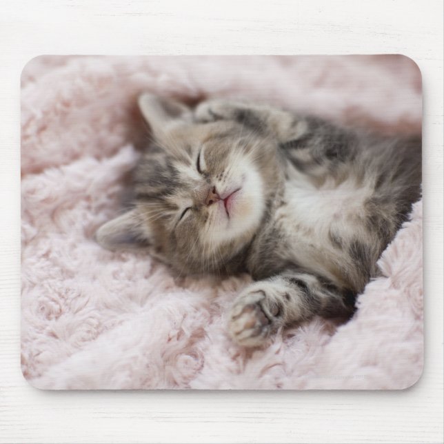 Mousepad Kitten dormindo na toalha (Frente)
