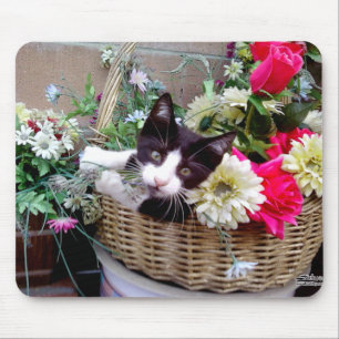 Mousepad Kitten em uma cesta