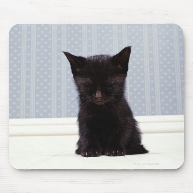 MOUSEPAD KITTEN NEGRO A DORMIR (Frente)