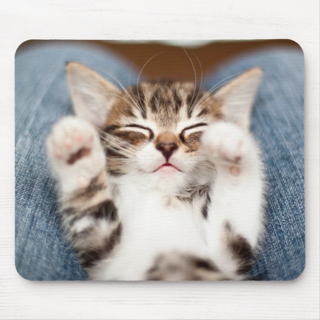 Mousepad Kitten No Meu Lap (Frente)