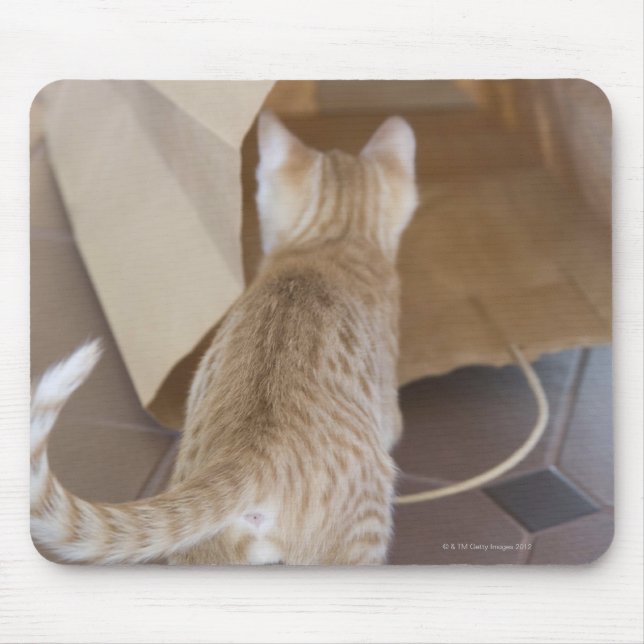 Mousepad Kitten olhando para o abismo de um saco (Frente)
