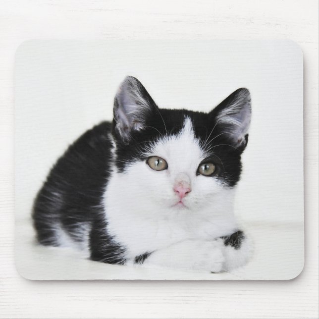 Mousepad Kitten Preto e Branco (Frente)