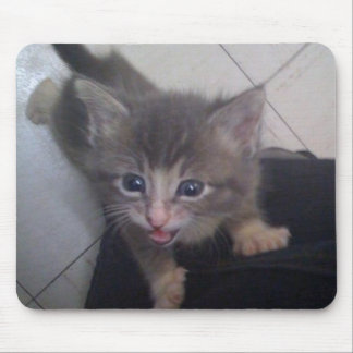 Mousepad kittty