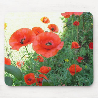 Mousepad Klatschmohn