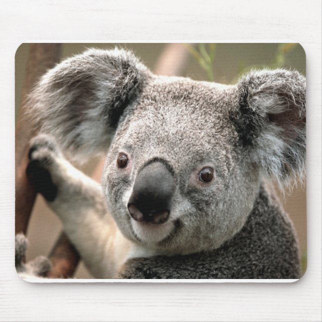 Mousepad Koala (Frente)