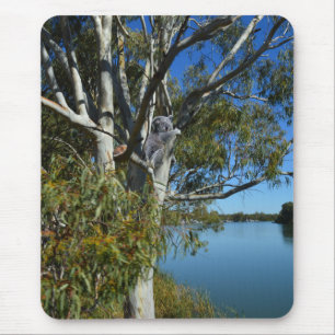 Mousepad Koala Bear Dormindo Na Árvore De Goma.