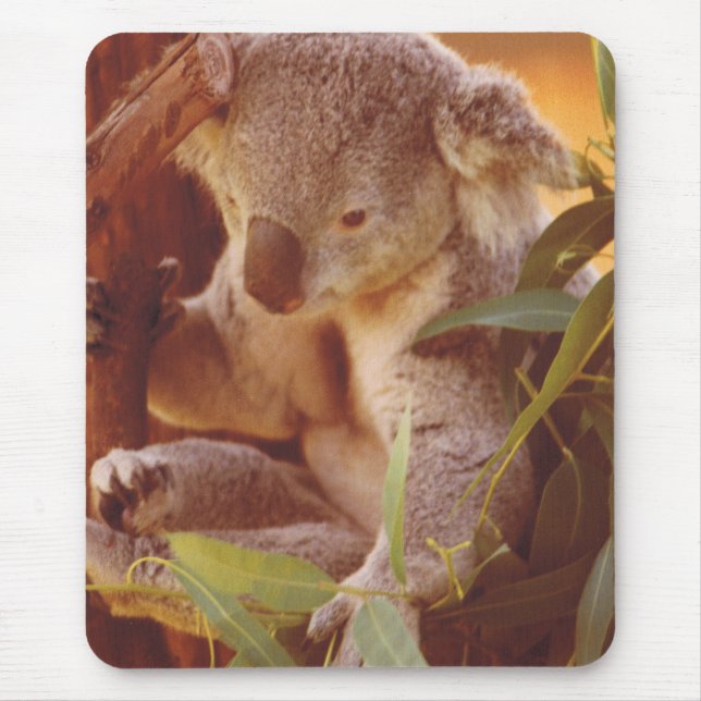 Mousepad Koala Bear Love (Frente)