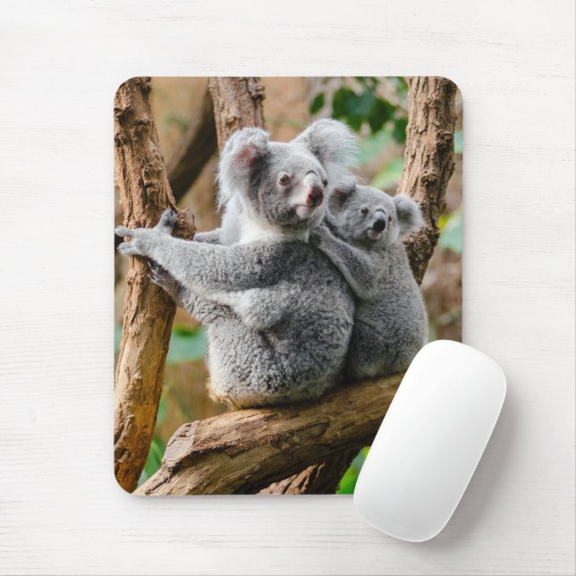Mousepad Koala com bebê em árvore na Austrália (Com mouse)