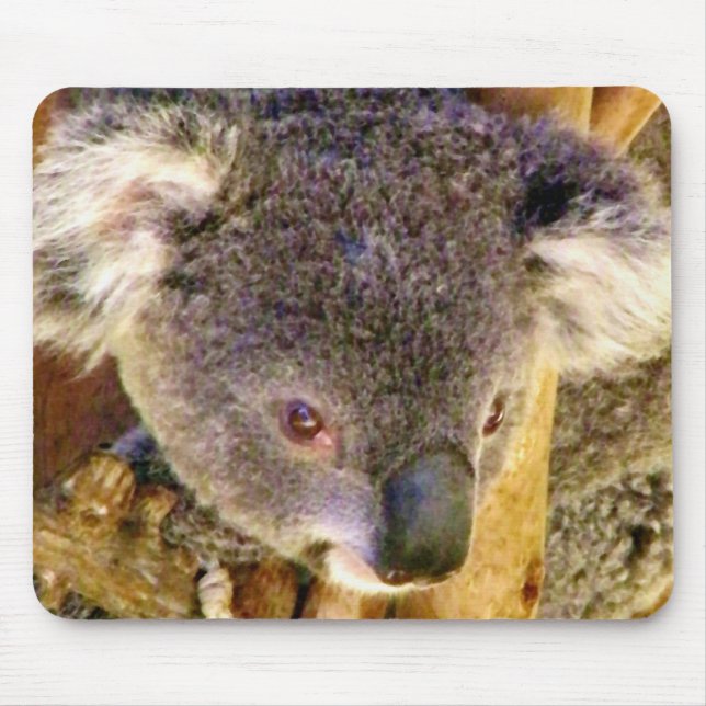 Mousepad Koala Love_ (Frente)