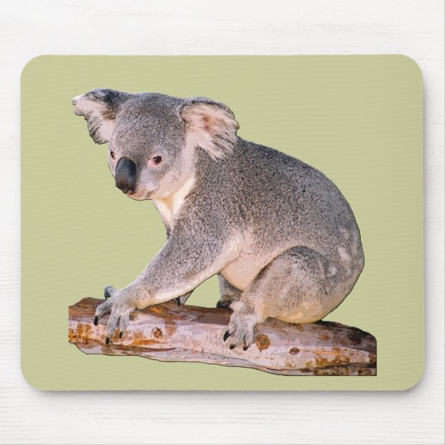 Mousepad Koala Mousepadd (Frente)