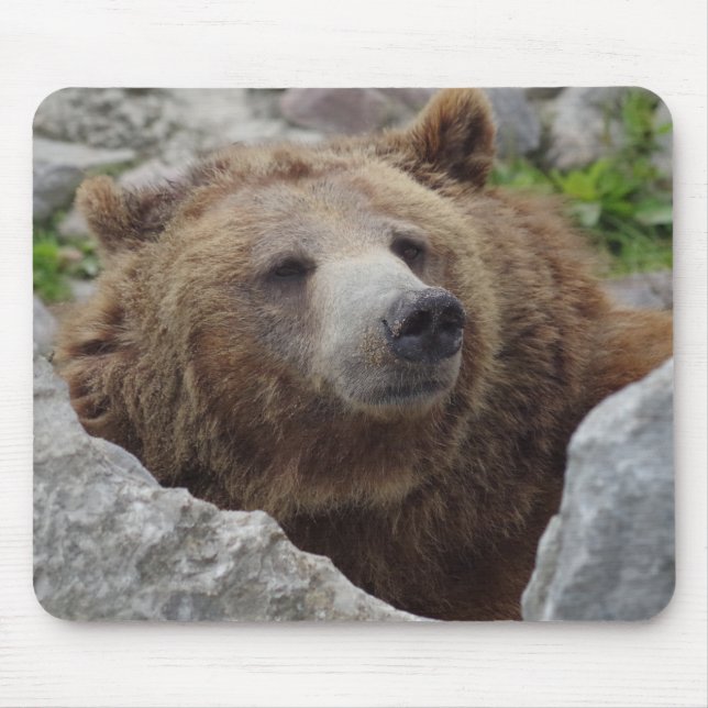 Mousepad Kodiak Bear (Frente)