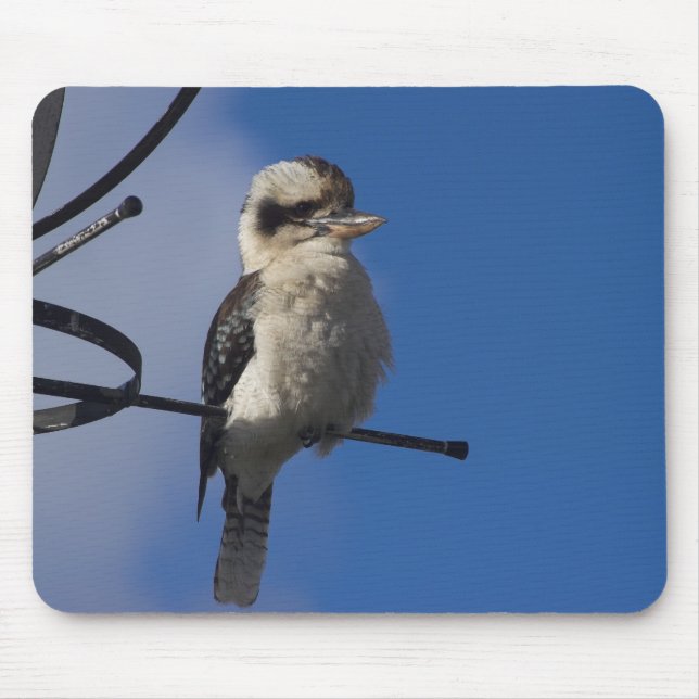 Mousepad Kookaburra (Frente)