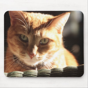 Mousepad Kute Gatinho!