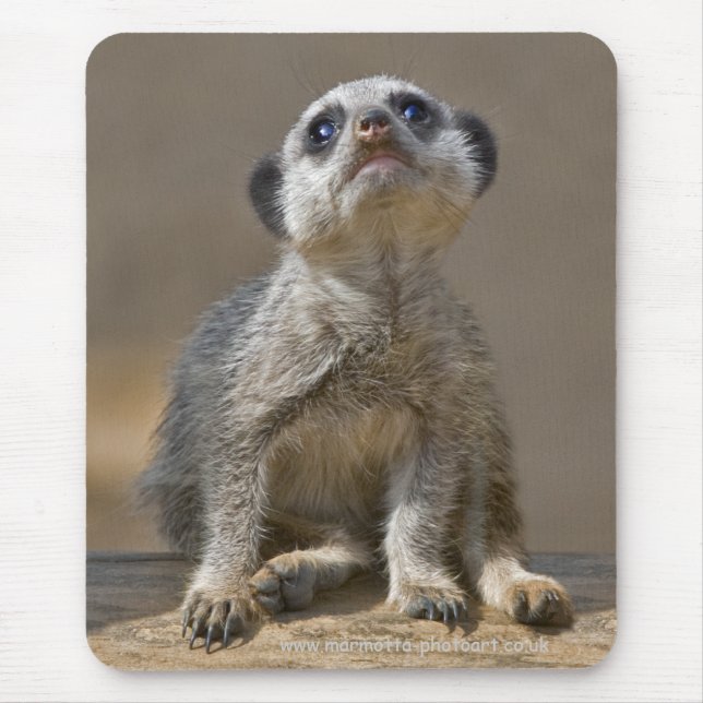 Mousepad Kute Kat Mousemat (Frente)