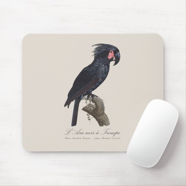 Mousepad L' Ara Noir a Trompe / Palm Cockatoo (Com mouse)