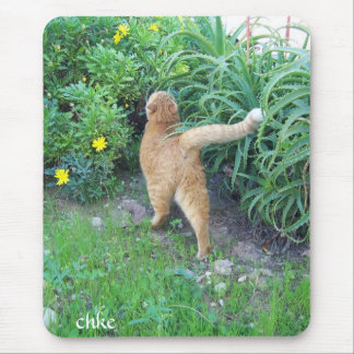 Mousepad La favorita del barrio