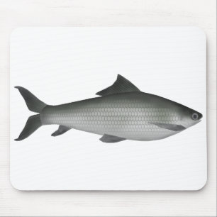 Mousepad Labeo comum