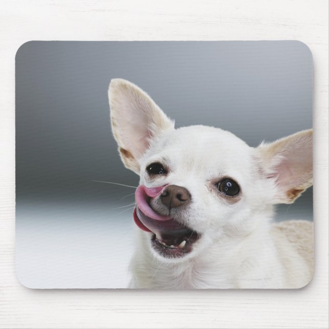 Mousepad Lábios de lamber do Chihuahua branco (Frente)