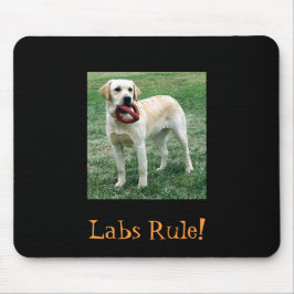 Mousepad Laboratório amarelo, regra dos laboratórios!