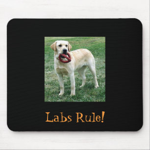 Mousepad Laboratório amarelo, regra dos laboratórios!